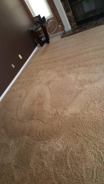 GC Carpet Tile and Grout Cleaning