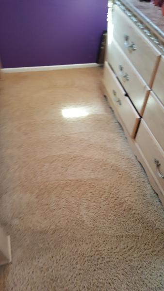 GC Carpet Tile and Grout Cleaning