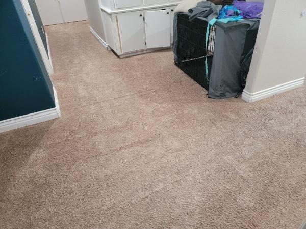 GC Carpet Tile and Grout Cleaning
