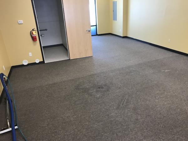 Common Cents Carpet Cleaning