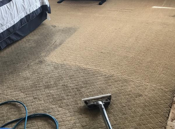 Common Cents Carpet Cleaning