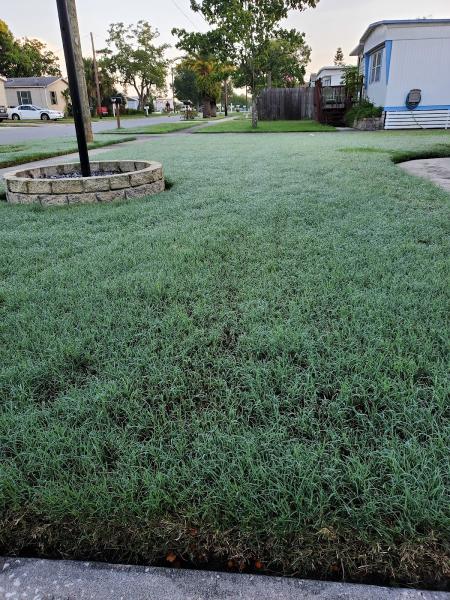 Port Orange Pest Control Inc