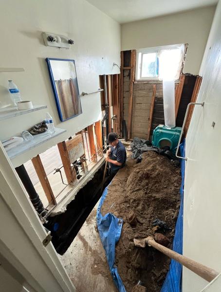 Ace Rooter Plumbing and Drain Services