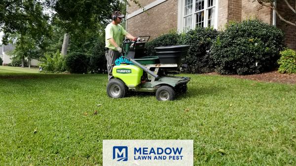 Meadow Lawn & Pest