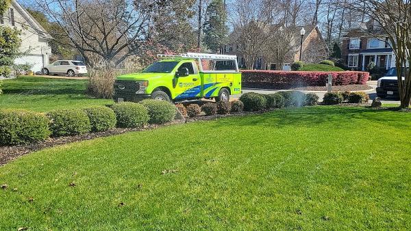 Meadow Lawn & Pest