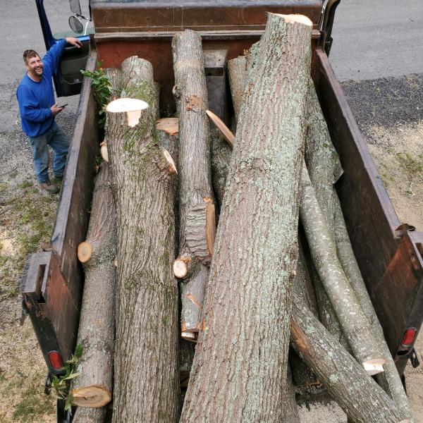 Mark Tuttle Tree Service