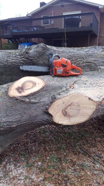 Sigmon Tree Service