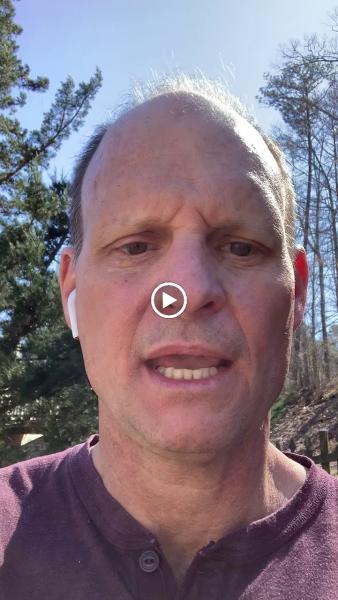 Honey Bee Home Repair