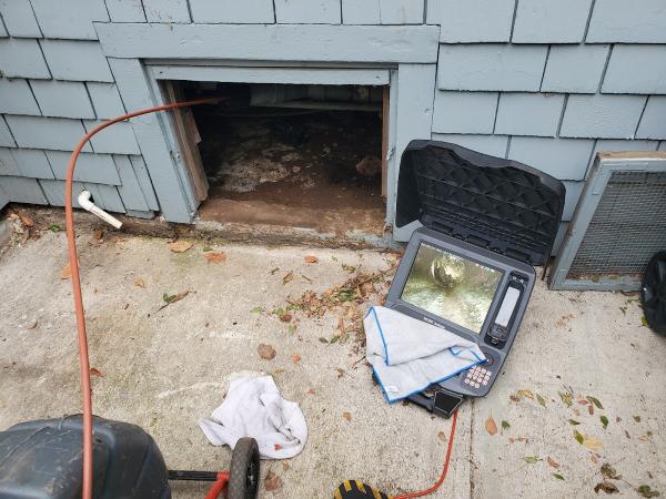 Rootless Drains