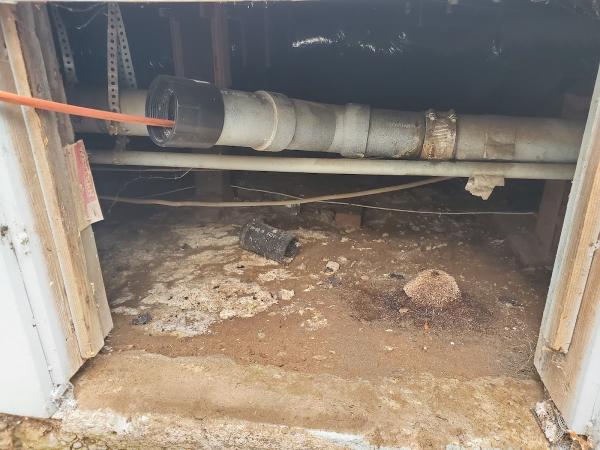 Rootless Drains