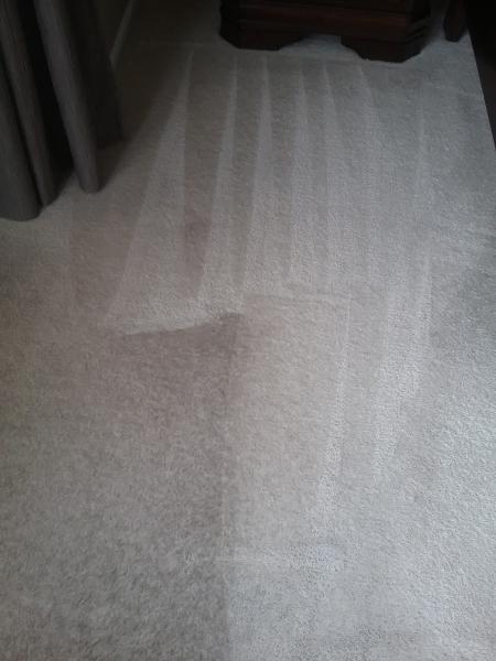 Apex Cleaning Network