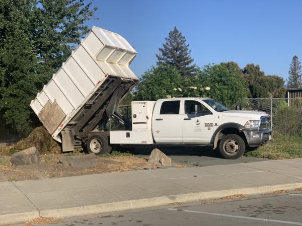 JC Tree Service