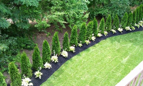 Greenlawns