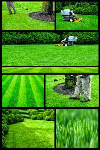 Greenlawns