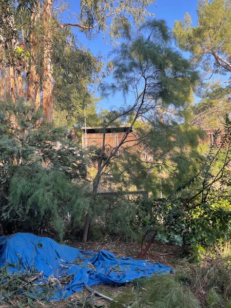 Jr's Tree Service and Landscape
