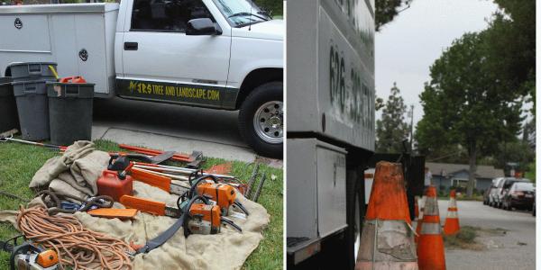 Jr's Tree Service and Landscape