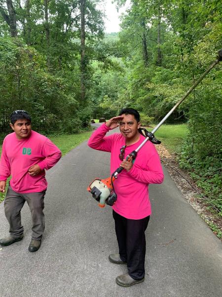 Dempster Brothers Lawn Care & Landscaping