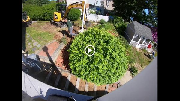 Elmwood Landscapes