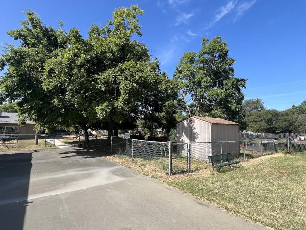 Fair Oaks Arborist