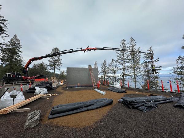 Wisner Tree Works