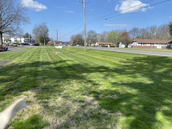 Southern Grounds Lawn and Outdoor