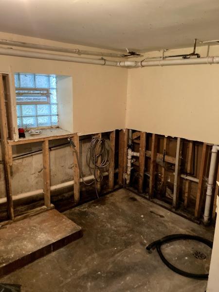 Rose Restoration Services