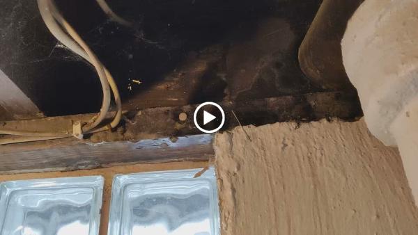 Amac Home Inspection Services