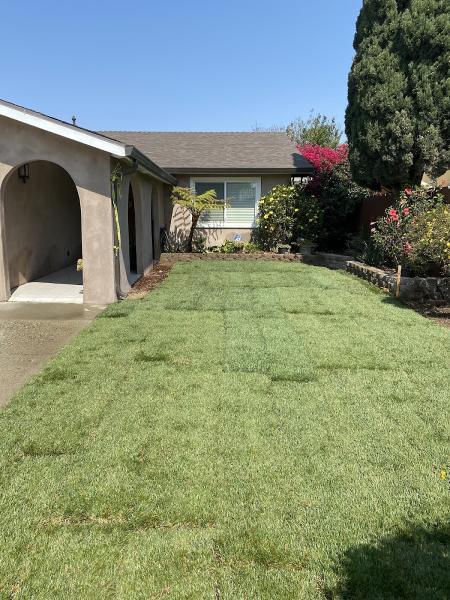 Juan Guevara Landscaping