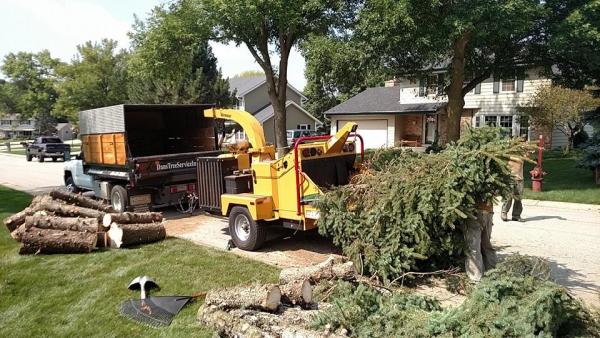 Dan's Tree Service Inc.