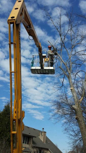 Dan's Tree Service Inc.