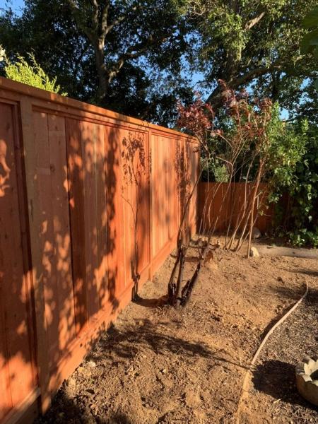 Calderon Landscaping Services
