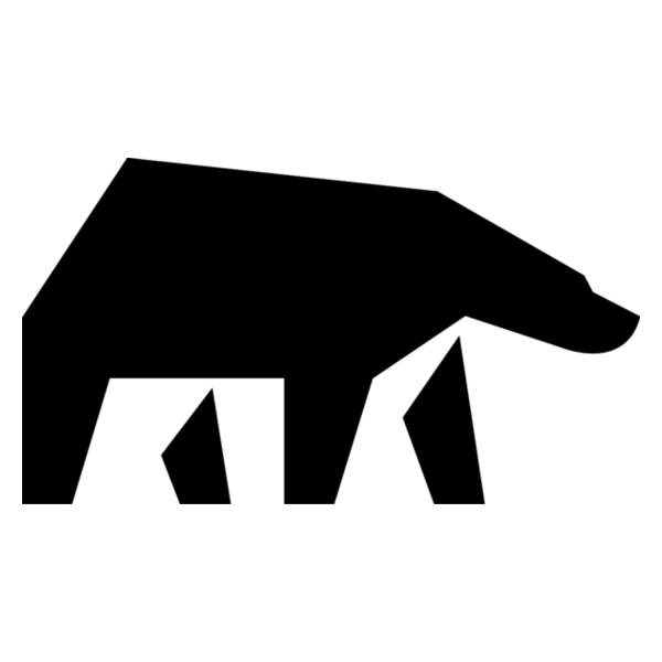 Black Bear Roofing and Exteriors
