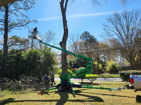 My Patriot Tree Service
