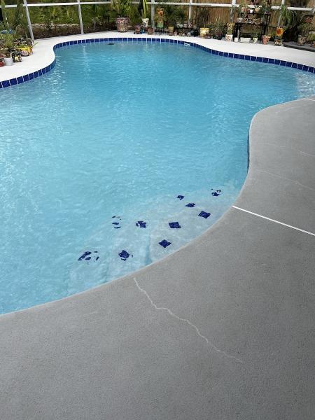 Pool Shack
