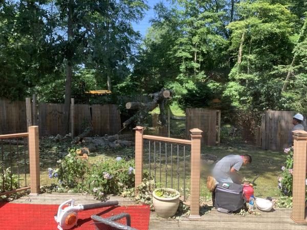 Jon's Tree Service Inc