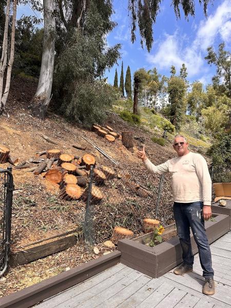 Complete Tree Services CA