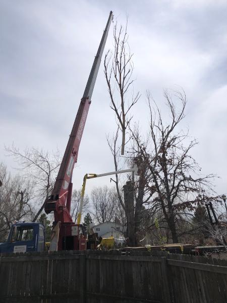 Treeworks