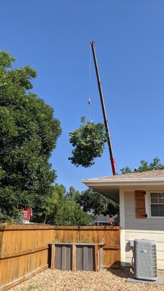 Treeworks