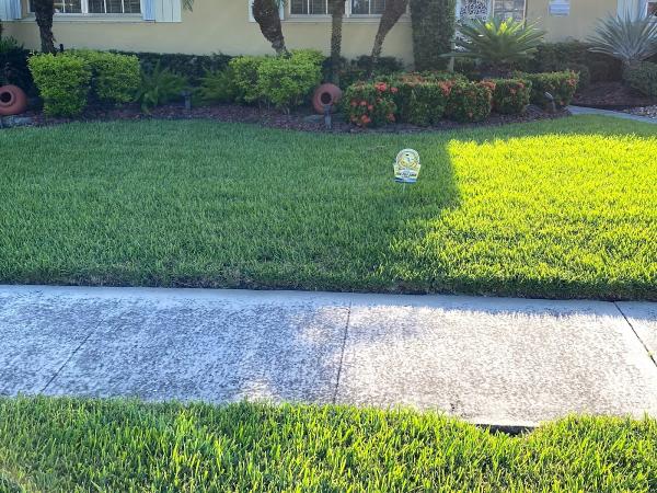 All County Environmental Services