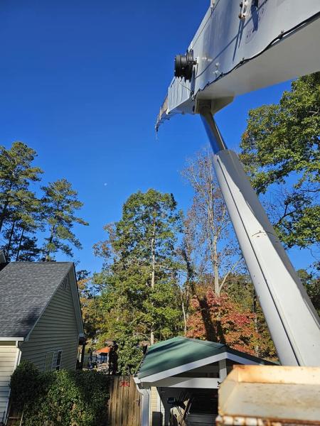 Elite Tree Care