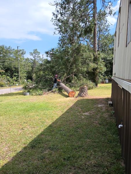 Elite Tree Care