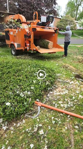 Carlos P Tree Service LLC