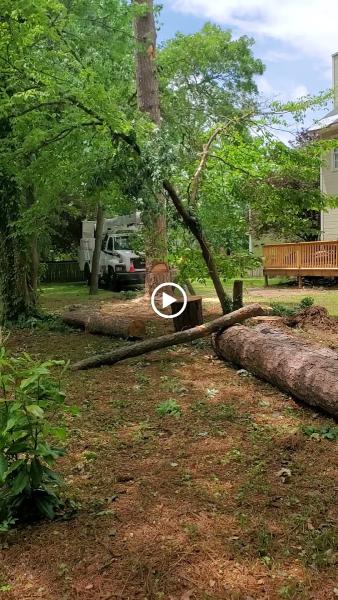 Paul & Son Quality Lawn Care