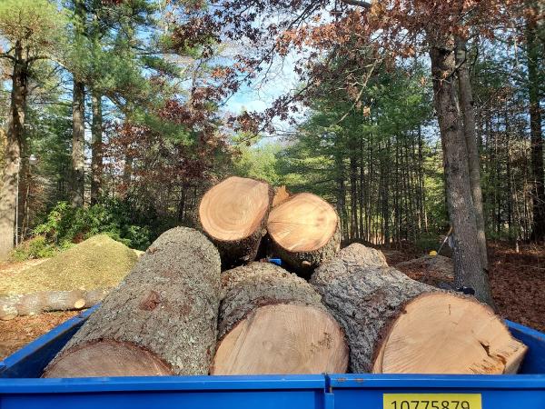 Apex Tree Care LLC