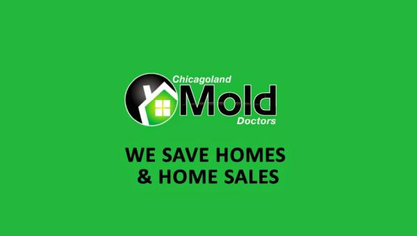 Chicagoland Mold Doctors