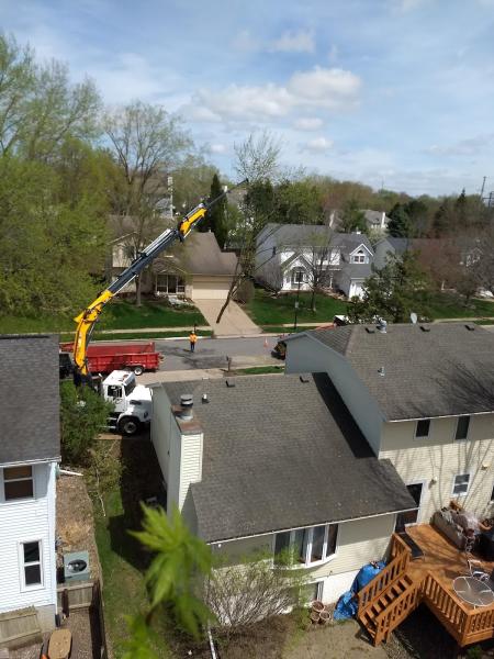 Acadian Tree Service