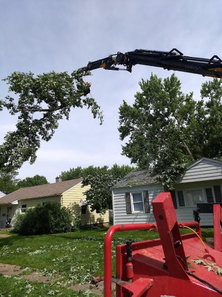 Acadian Tree Service