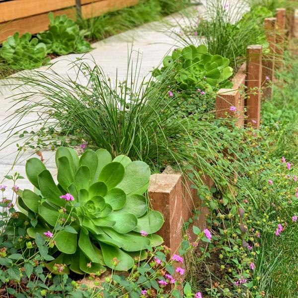 Ecogardens Landscape Design