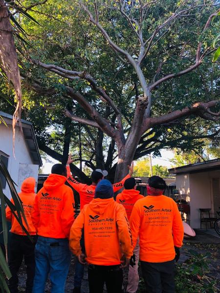 Southern Arbor Services