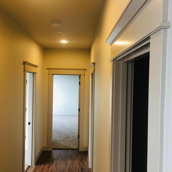 Alpine Painting LLC